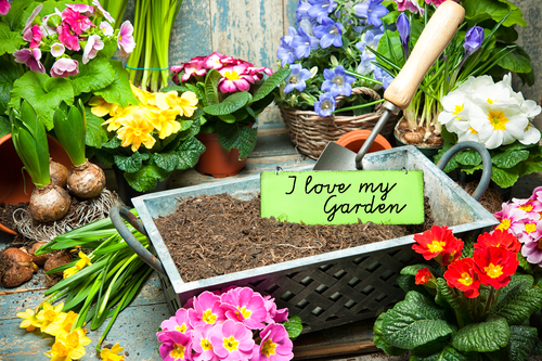 I love my Garden image